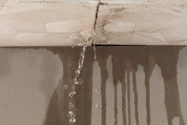 Professional Sewage Cleanup technician working in Hale Center, TX